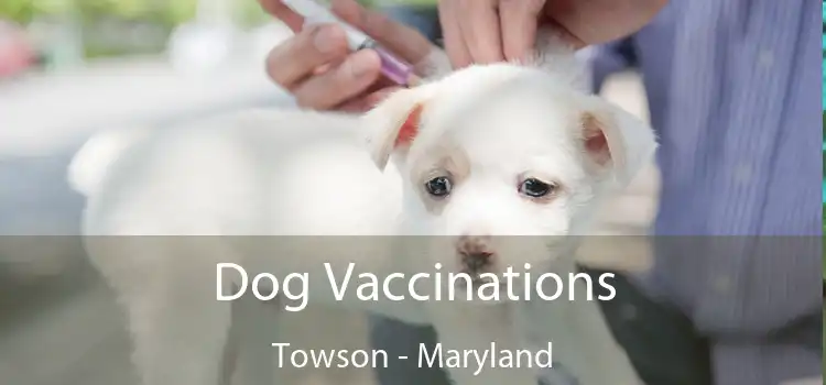 Dog Vaccinations Towson - Maryland