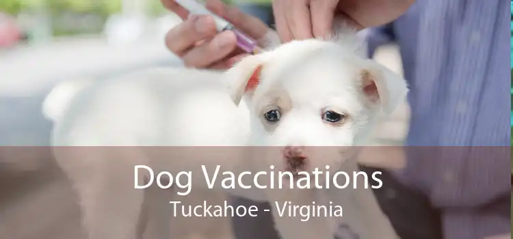 Dog Vaccinations Tuckahoe - Virginia