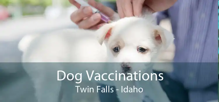 Dog Vaccinations Twin Falls - Idaho