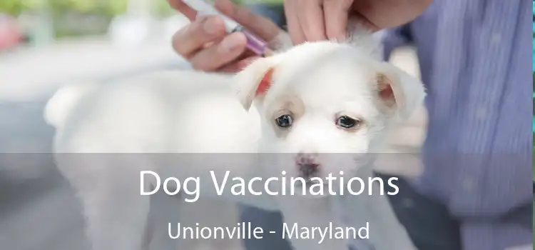 Dog Vaccinations Unionville - Maryland