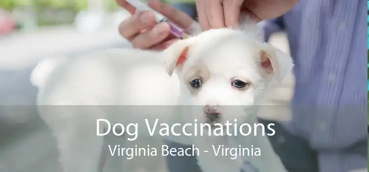Dog Vaccinations Virginia Beach - Virginia