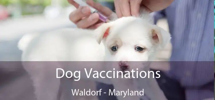 Dog Vaccinations Waldorf - Maryland