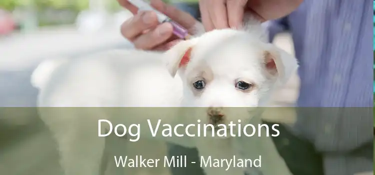 Dog Vaccinations Walker Mill - Maryland
