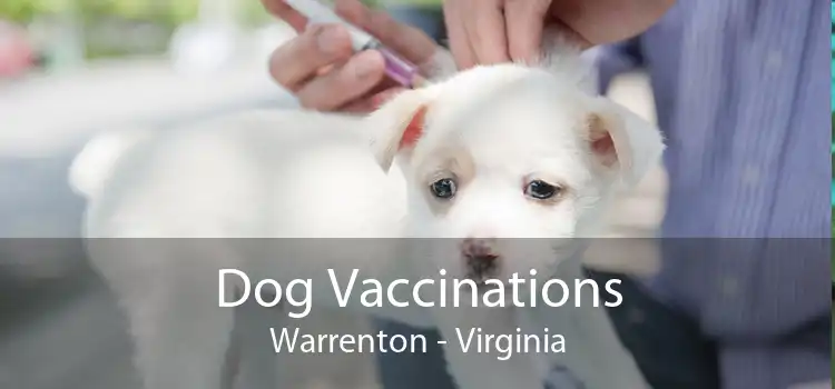 Dog Vaccinations Warrenton - Virginia