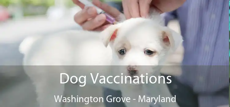 Dog Vaccinations Washington Grove - Maryland