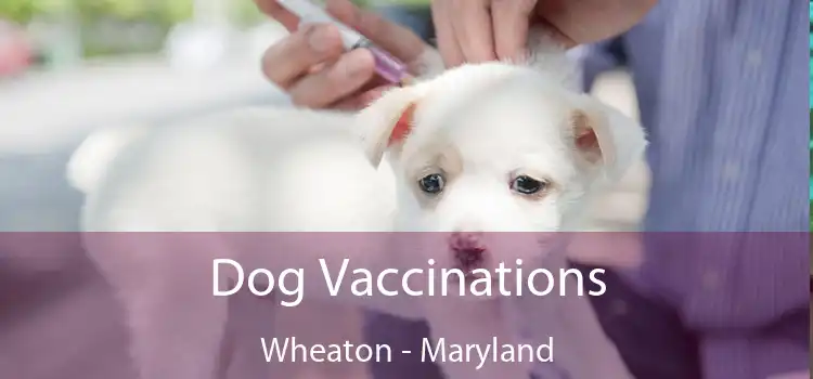 Dog Vaccinations Wheaton - Maryland