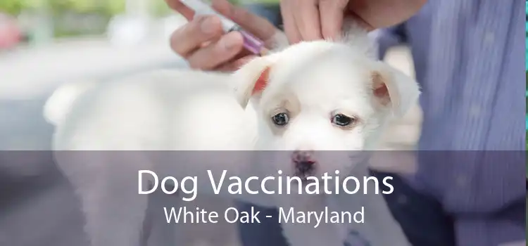 Dog Vaccinations White Oak - Maryland