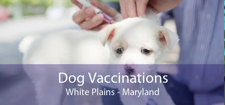 Dog Vaccinations White Plains - Maryland
