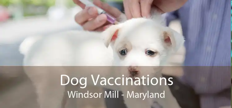 Dog Vaccinations Windsor Mill - Maryland