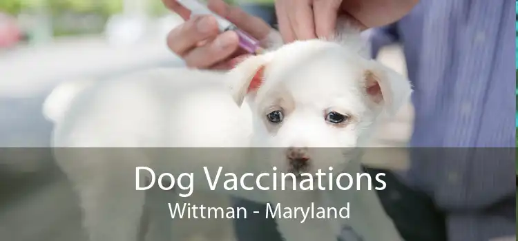 Dog Vaccinations Wittman - Maryland