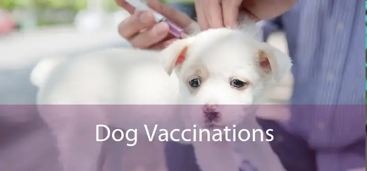 Dog Vaccinations