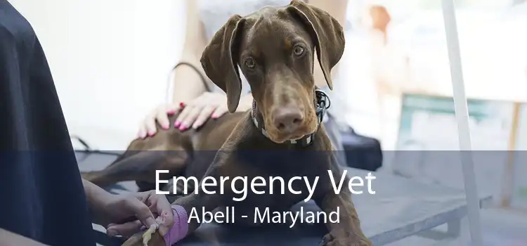 Emergency Vet Abell - Maryland