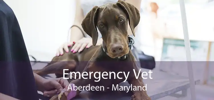 Emergency Vet Aberdeen - Maryland