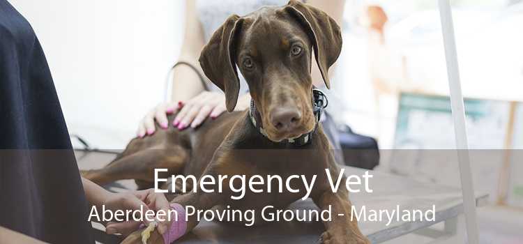 Emergency Vet Aberdeen Proving Ground - Maryland