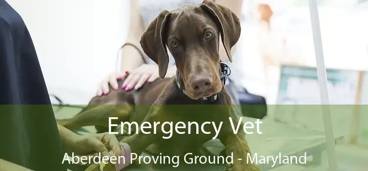 Emergency Vet Aberdeen Proving Ground - Maryland