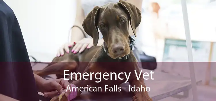 Emergency Vet American Falls - Idaho