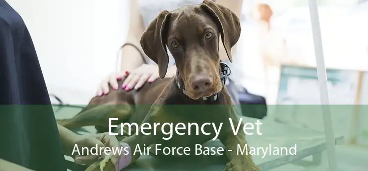 Emergency Vet Andrews Air Force Base - Maryland