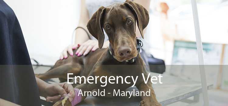 Emergency Vet Arnold - Maryland