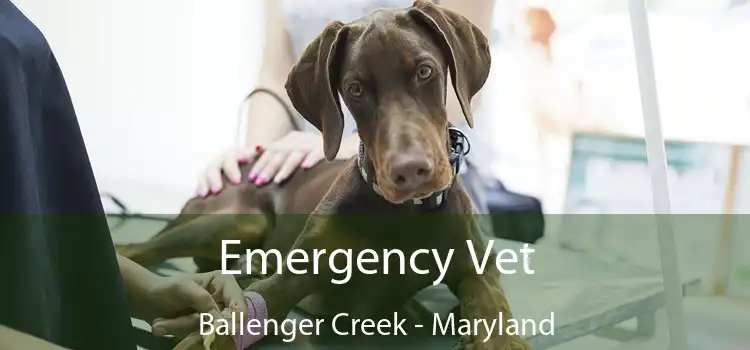 Emergency Vet Ballenger Creek - Maryland