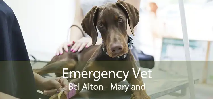 Emergency Vet Bel Alton - Maryland