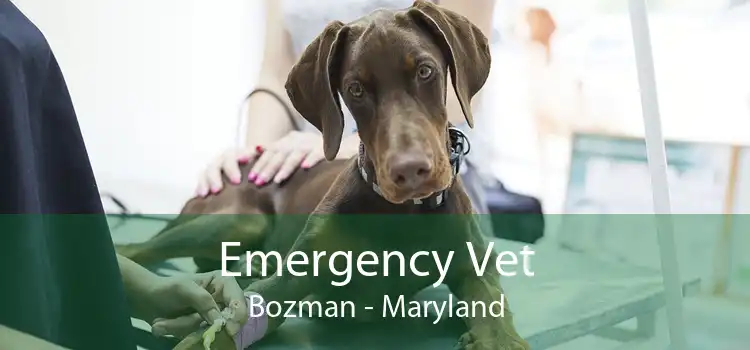 Emergency Vet Bozman - Maryland