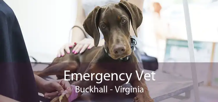 Emergency Vet Buckhall - Virginia