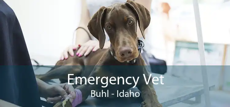 Emergency Vet Buhl - Idaho