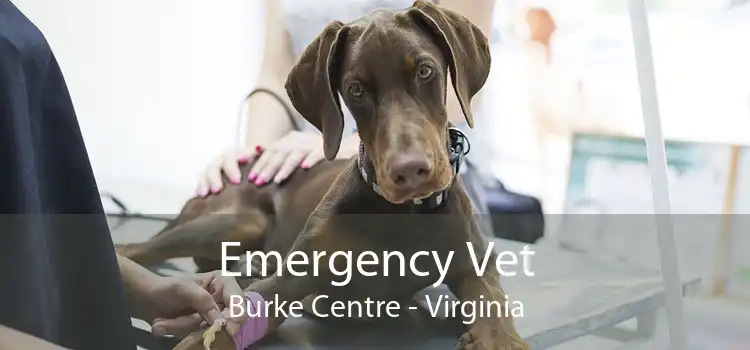 Emergency Vet Burke Centre - Virginia