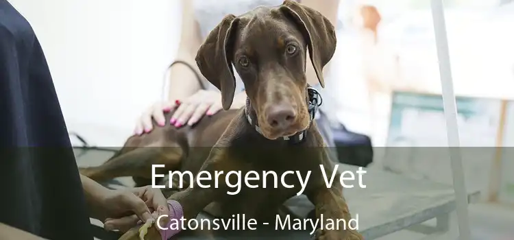 Emergency Vet Catonsville - Maryland