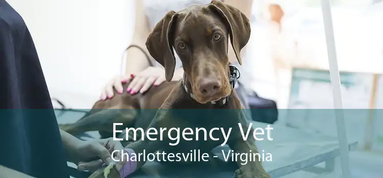Emergency Vet Charlottesville - Virginia