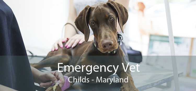 Emergency Vet Childs - Maryland