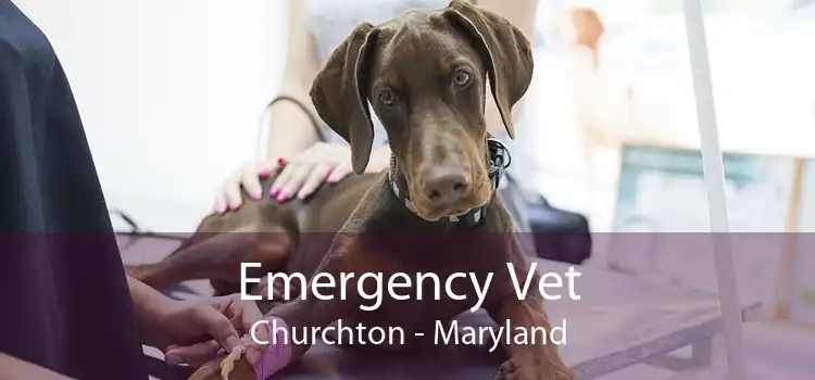 Emergency Vet Churchton - Maryland