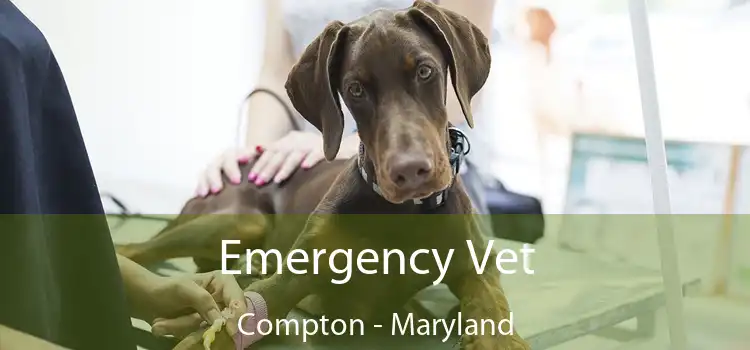Emergency Vet Compton - Maryland
