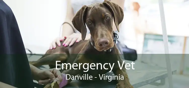 Emergency Vet Danville - Virginia