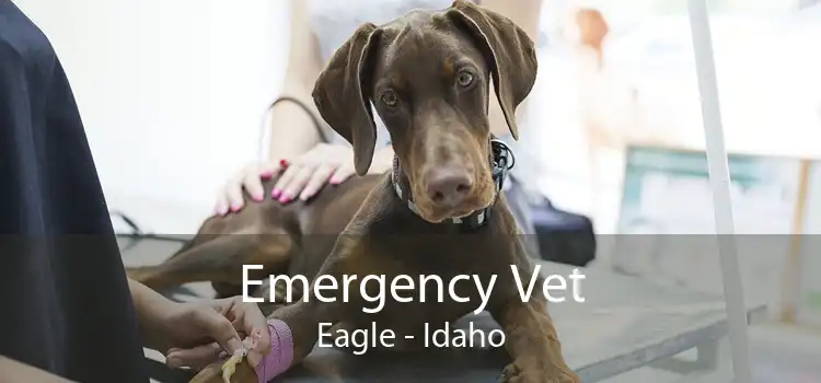 Emergency Vet Eagle - Idaho