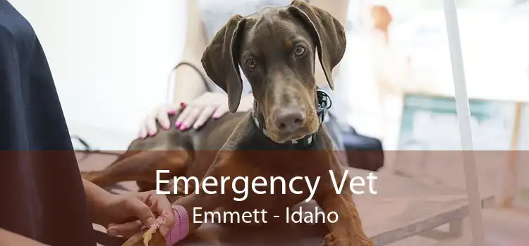 Emergency Vet Emmett - Idaho