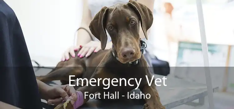 Emergency Vet Fort Hall - Idaho