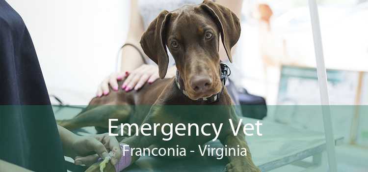 Emergency Vet Franconia - Virginia