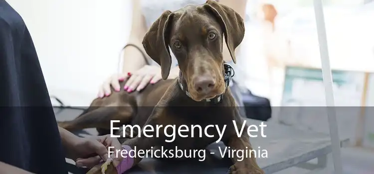 Emergency Vet Fredericksburg - Virginia