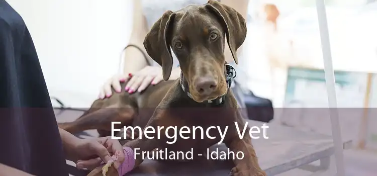Emergency Vet Fruitland - Idaho