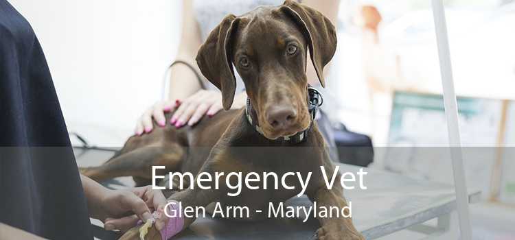 Emergency Vet Glen Arm - Maryland