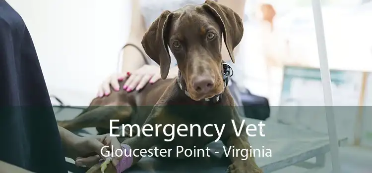 Emergency Vet Gloucester Point - Virginia