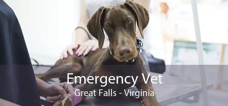Emergency Vet Great Falls - Virginia