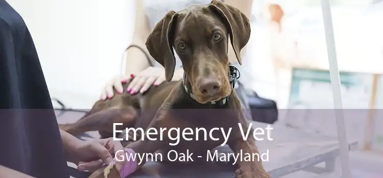 Emergency Vet Gwynn Oak - Maryland