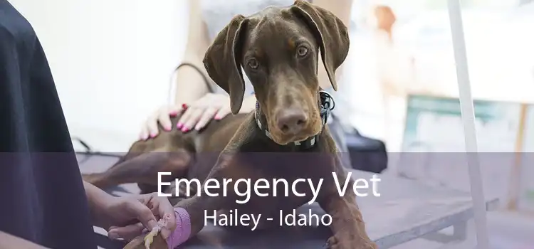 Emergency Vet Hailey - Idaho