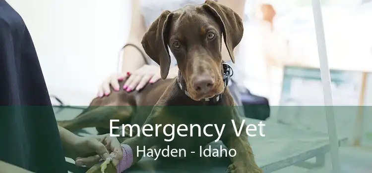 Emergency Vet Hayden - Idaho
