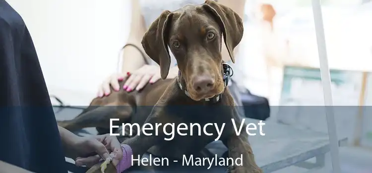 Emergency Vet Helen - Maryland