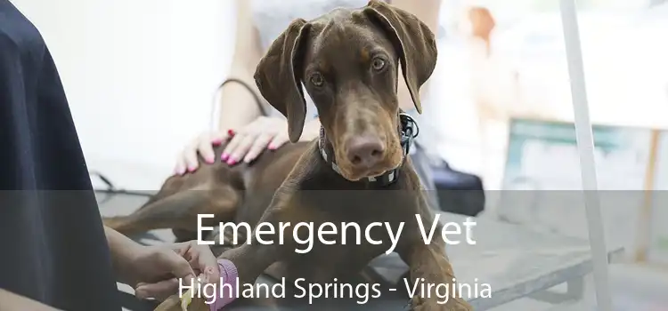 Emergency Vet Highland Springs - Virginia