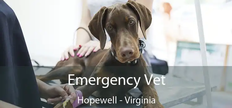 Emergency Vet Hopewell - Virginia