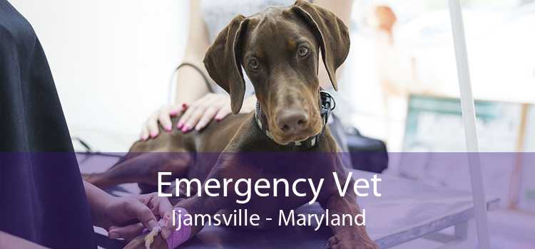 Emergency Vet Ijamsville - Maryland